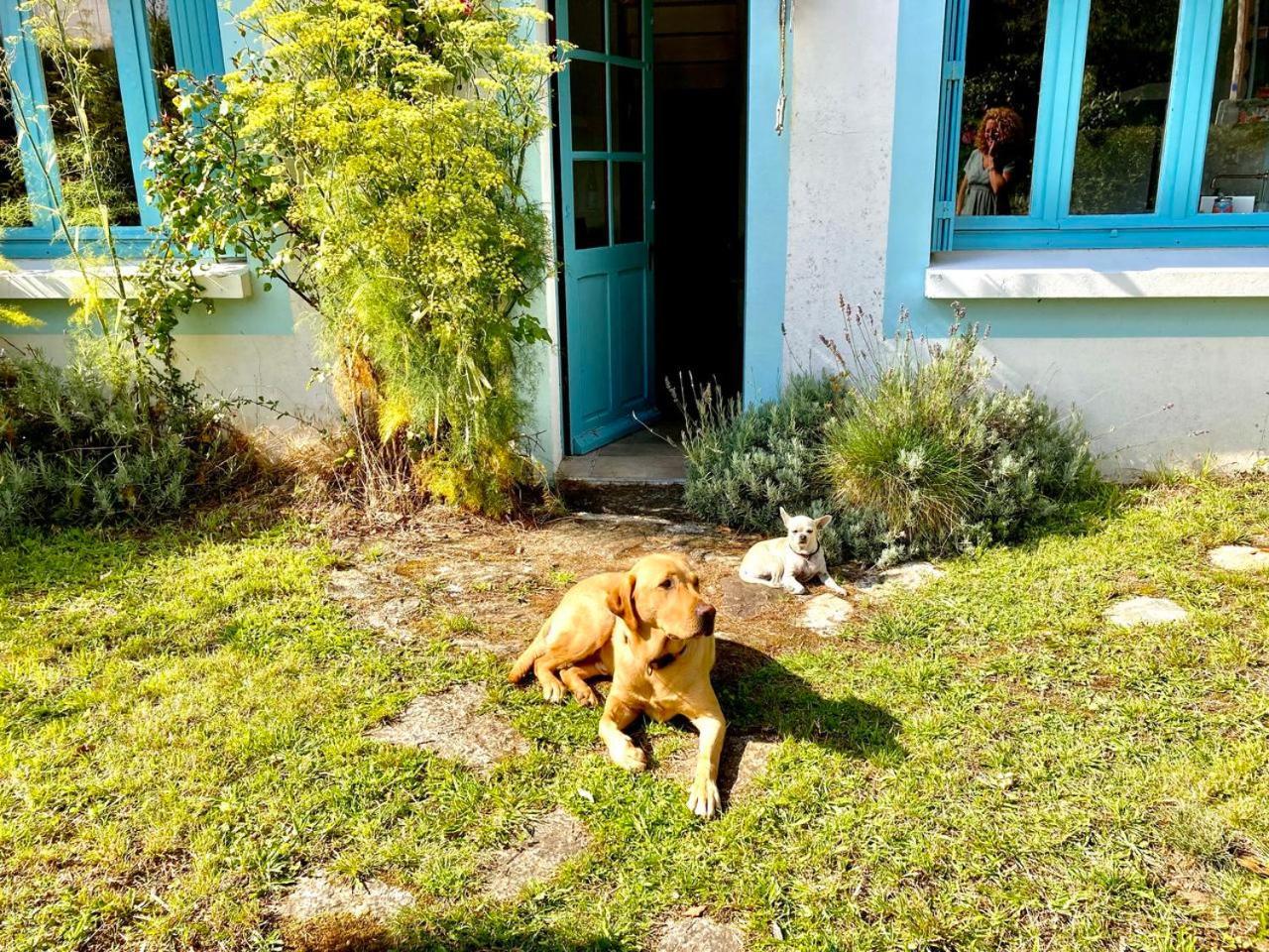 Penty Legona, Authentique Et Chaleureux, 2-6 Pers Villa Moelan-sur-Mer Exterior photo